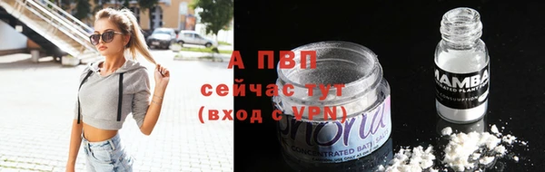 гашик Магас