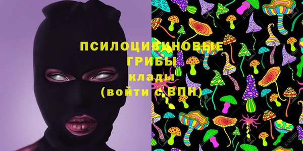 ГАЛЛЮЦИНОГЕННЫЕ ГРИБЫ Алексин